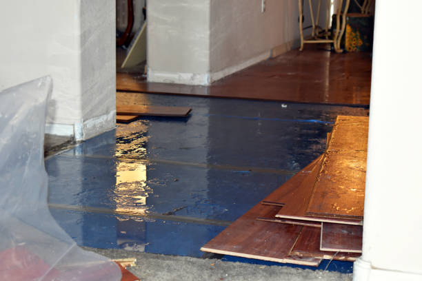 Professional Sewage Cleanup technician working in Montague, MA
